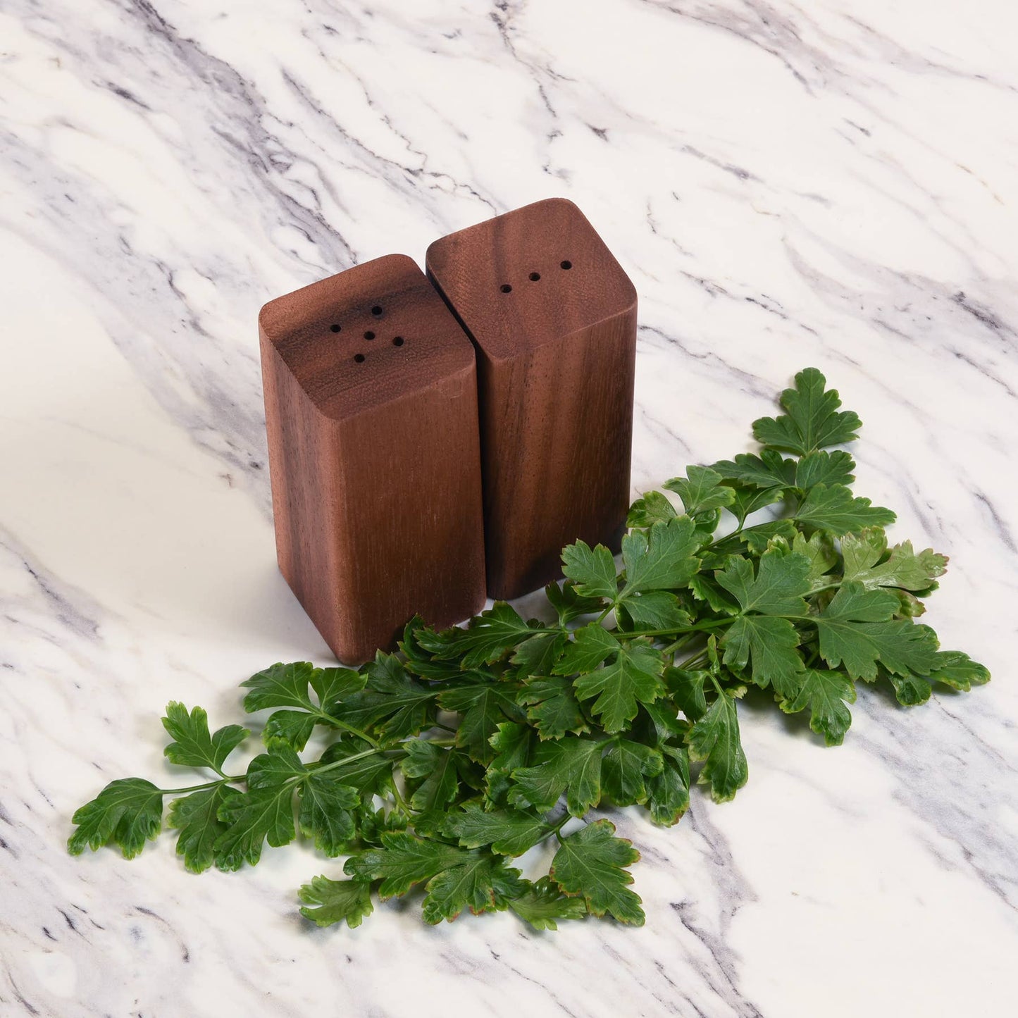 Salt & Pepper Shakers with Base
