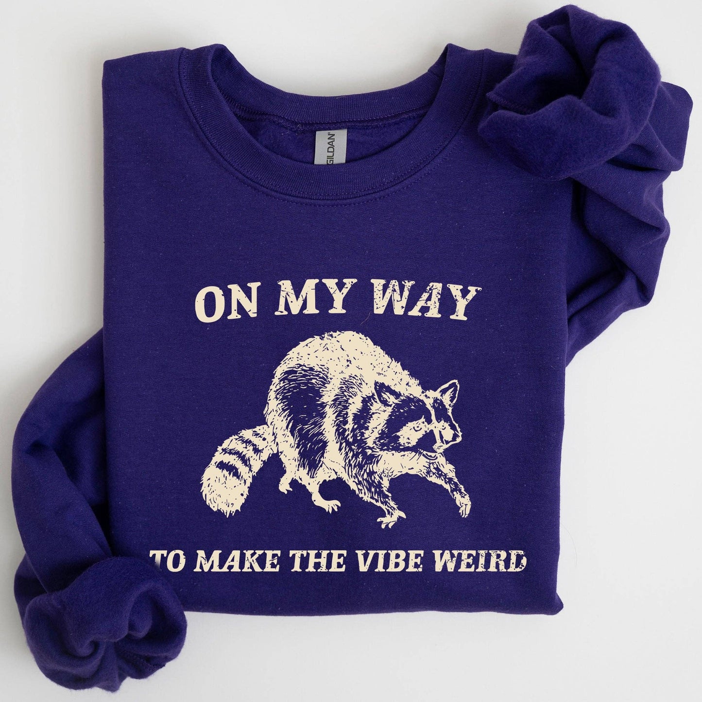 Weird Vibes, Raccoon, Meme, Aesthetic, Funny Sweatshirt