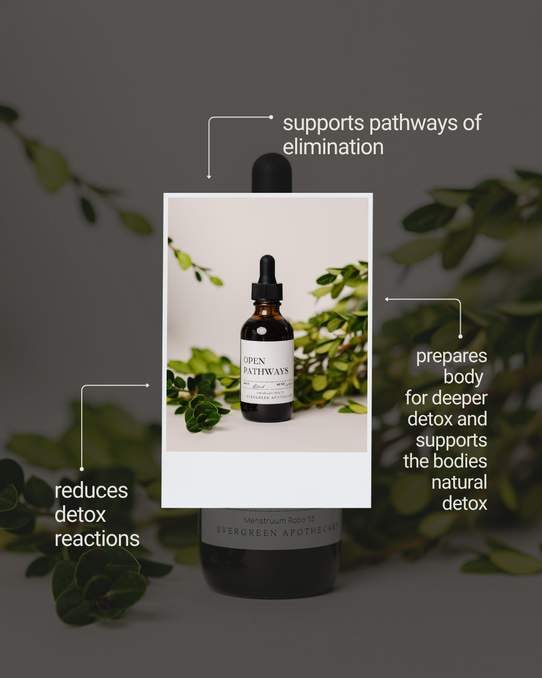 Open Pathways, Tincture