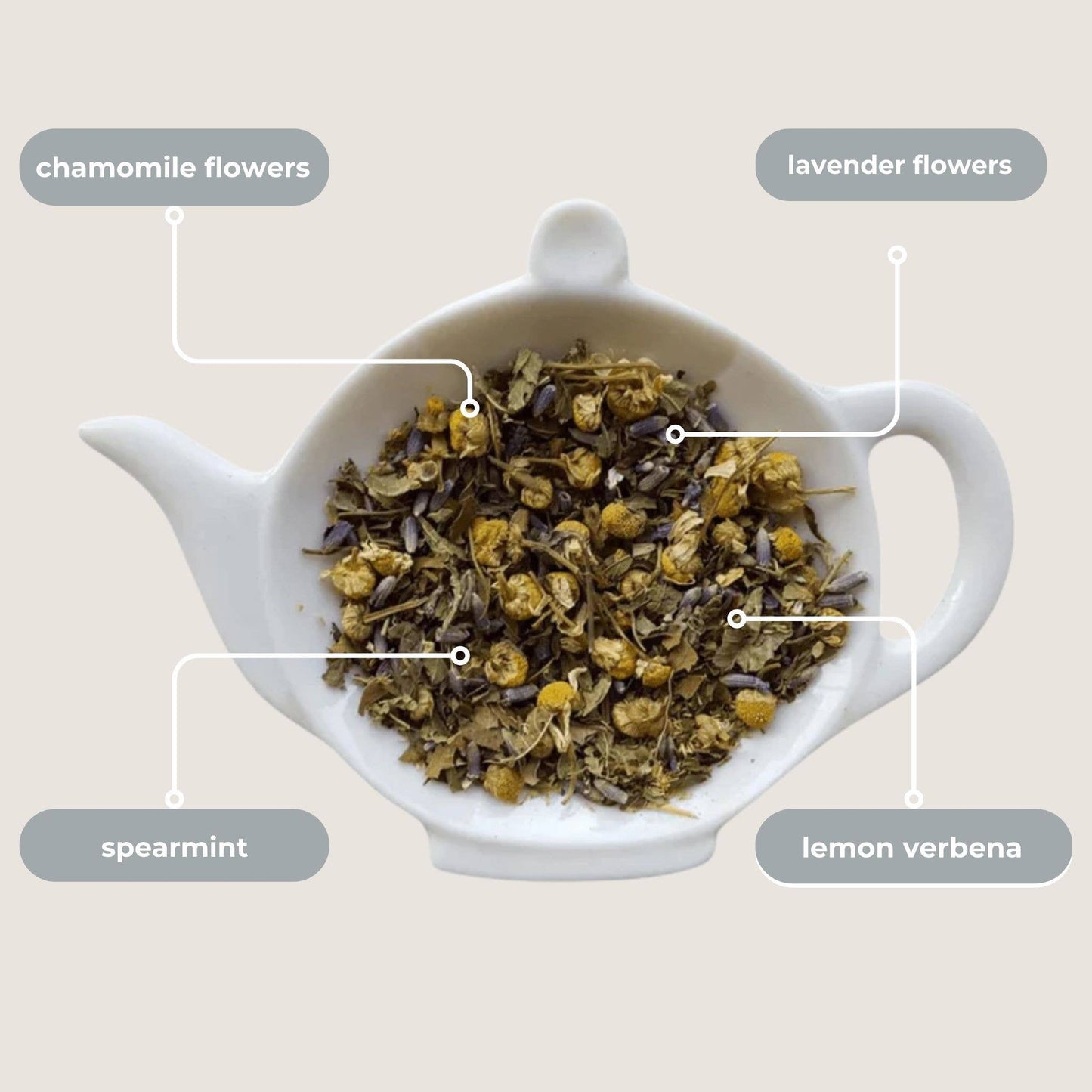 Spa Bliss Herbal Mini Tea Tube Gift (5 tea bags)