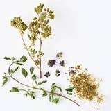 Oregano, Mediterranean - toasty, minty, and peppery spice