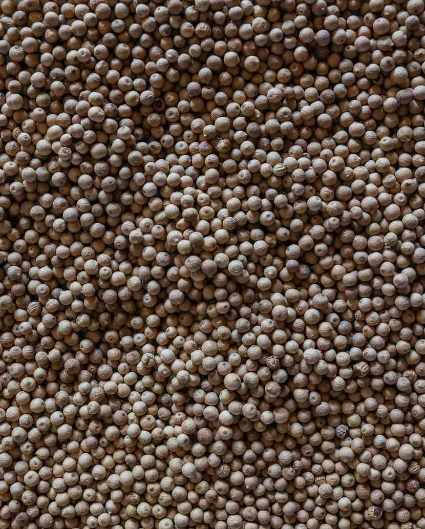 Aranya White Pepper (Whole) - Single-Origin Spice